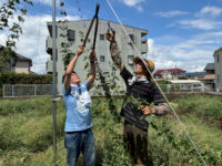 ホップがつなぐ農家と消費者、地ビールで都市近郊の農業をもっと身近に