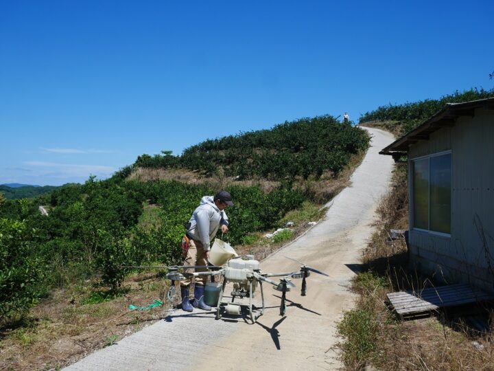 ミカン農家がなぜドローンスクール運営を？	 他県からも受講生がやってくる理由は