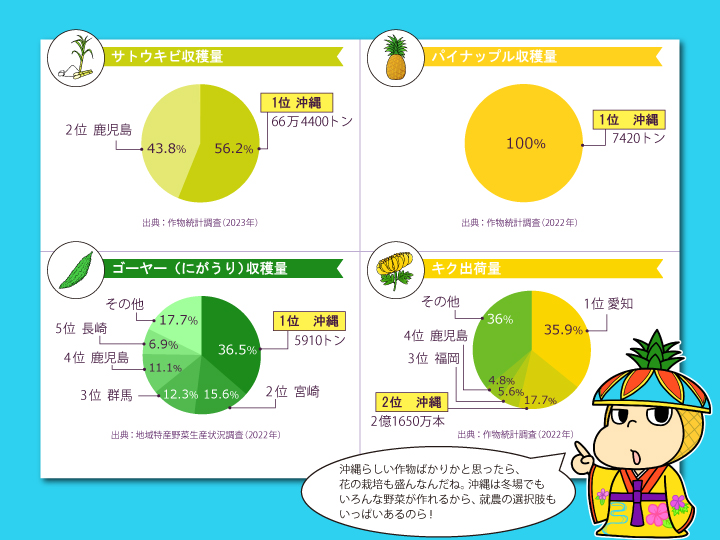 沖縄県農産物グラフ