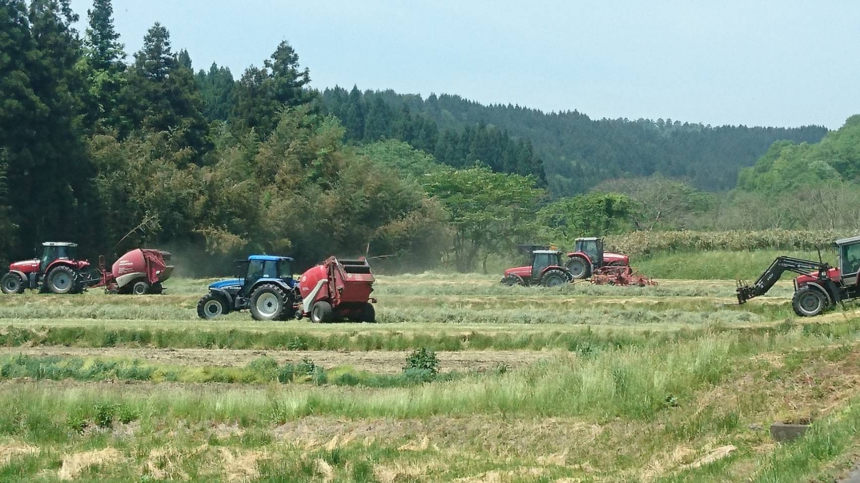 牧草生産の共同作業