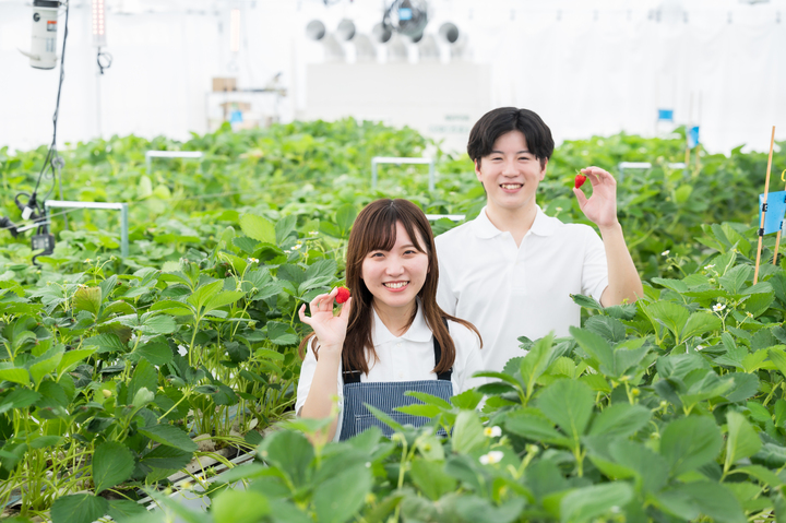 関東でも夏秋イチゴが安定して作れる！？日栄インテックの『スーパーアグリハウス』！