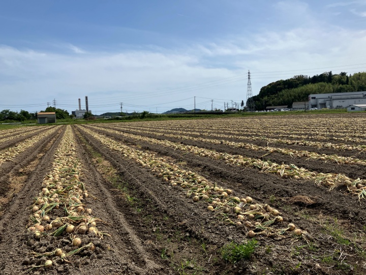 輸入依存からの脱却へ。大手総合商社が手掛ける産地形成