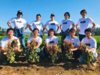 新たな落花生産地は北海道！　若手農家が産地づくりをPRする「メムロピーナッツ」