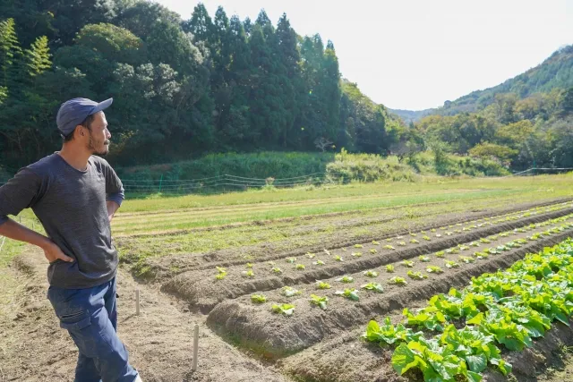 畑で作物の生育を見守る男性農家