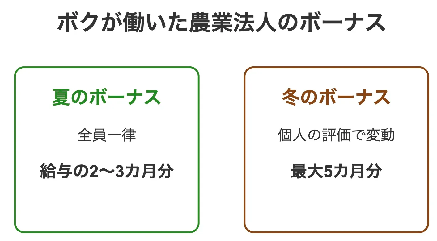 相馬はじめが勤めた農業法人のボーナス概要画像