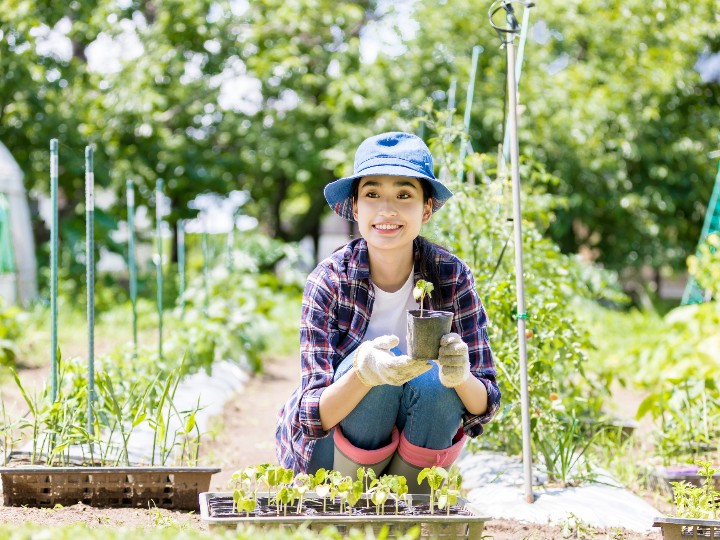 貸し農園とは？　貸し農園の魅力や選ぶ際のポイント、都心部でおすすめの貸し農園も紹介