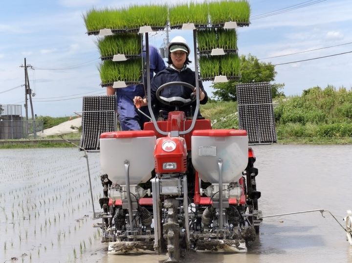 大西さん田植え