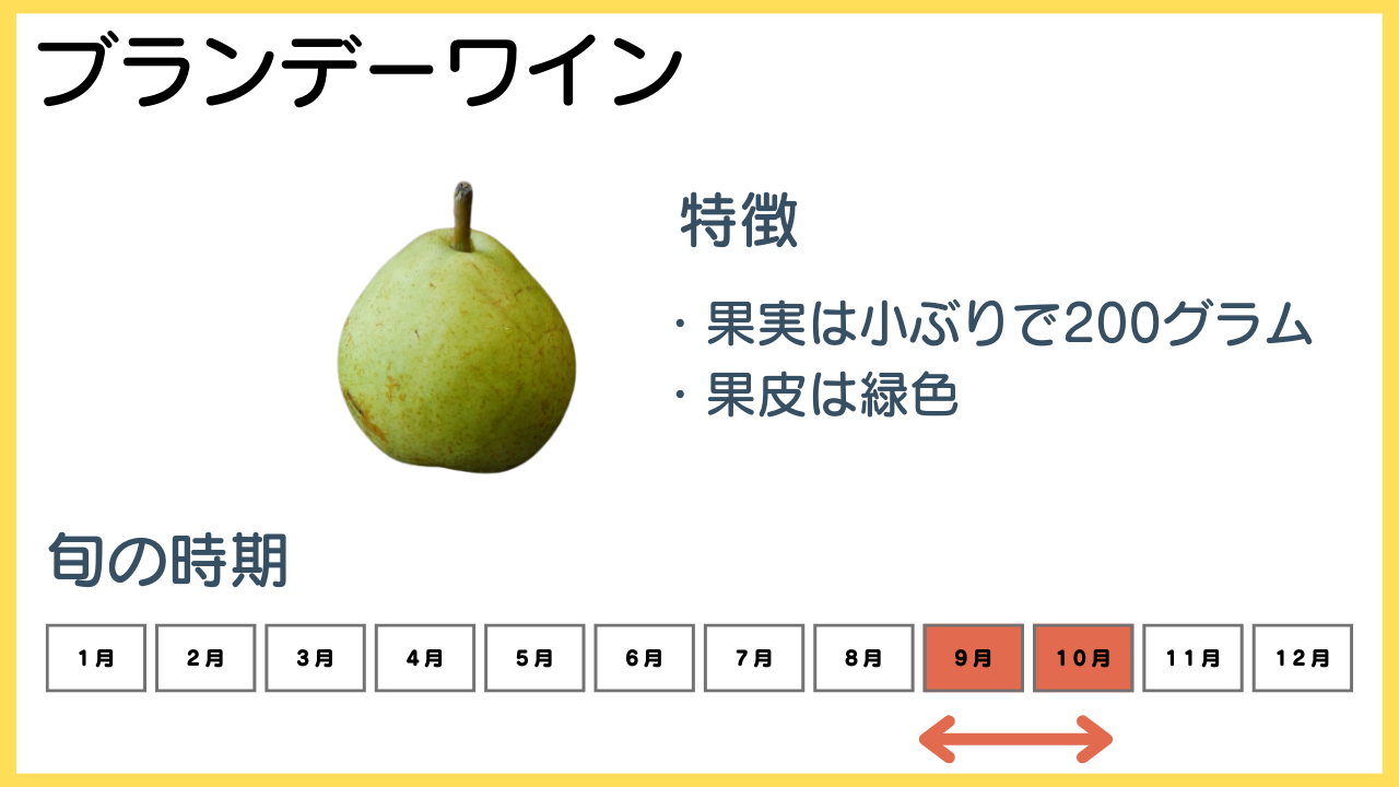 ブランデーワインの特徴と旬の時期