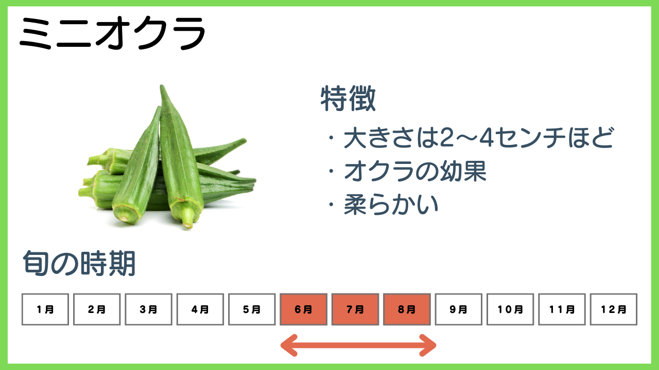 ミニオクラの特徴と旬の時期