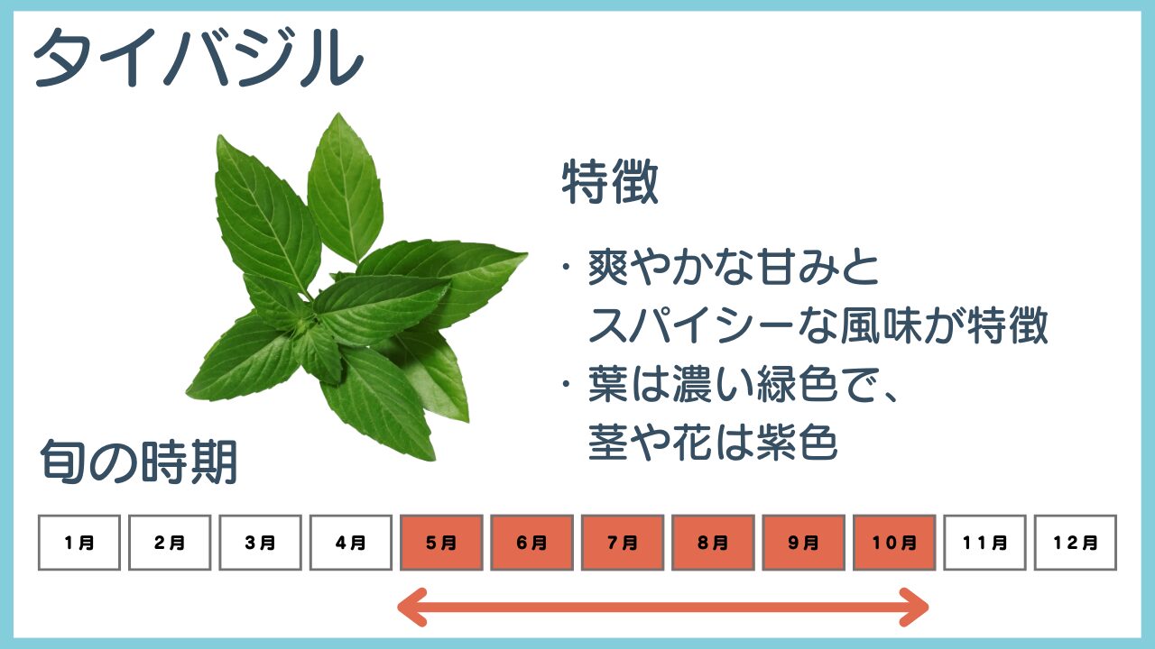 タイバジルの特徴と旬の時期