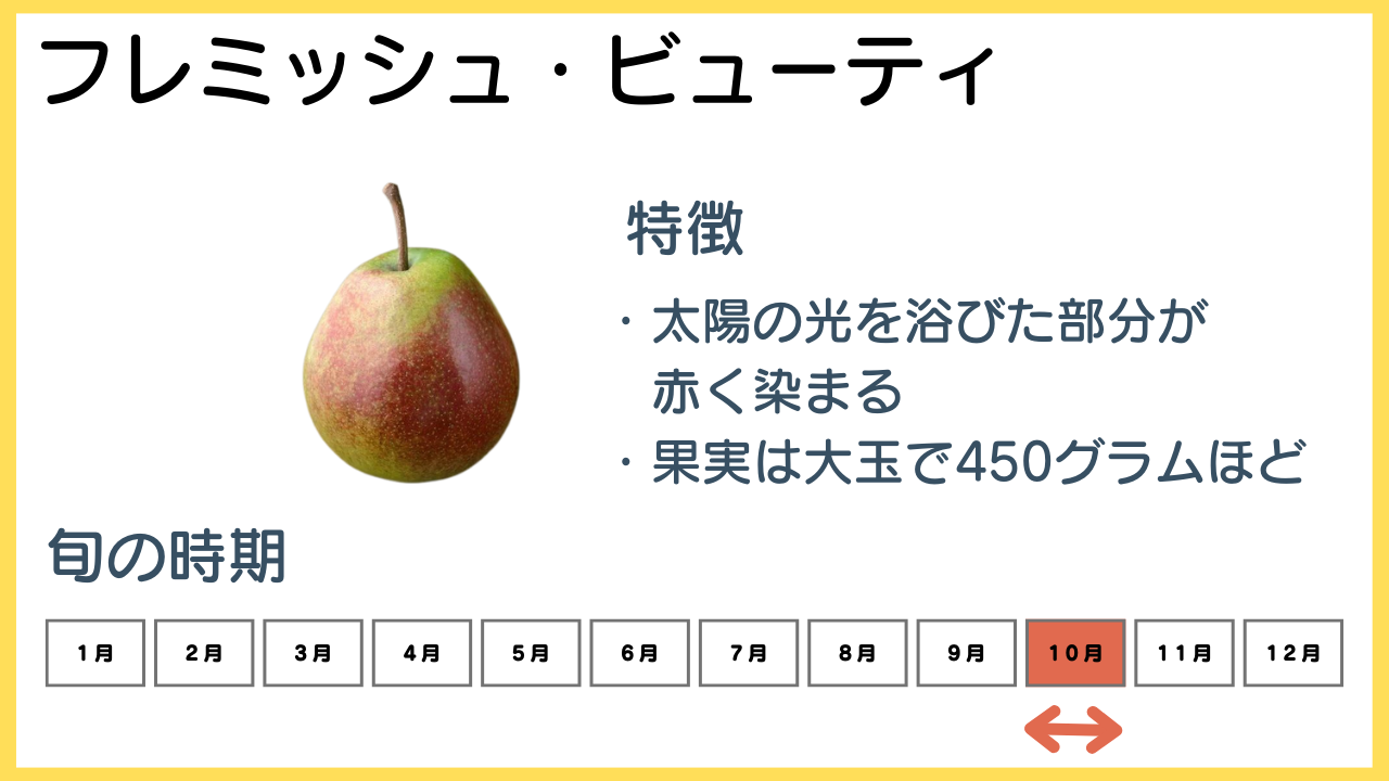 フレミッシュ・ビューティの特徴と旬の時期