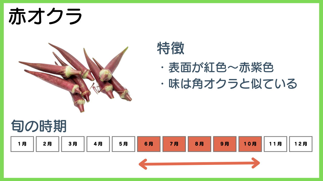 赤オクラの特徴と旬の時期