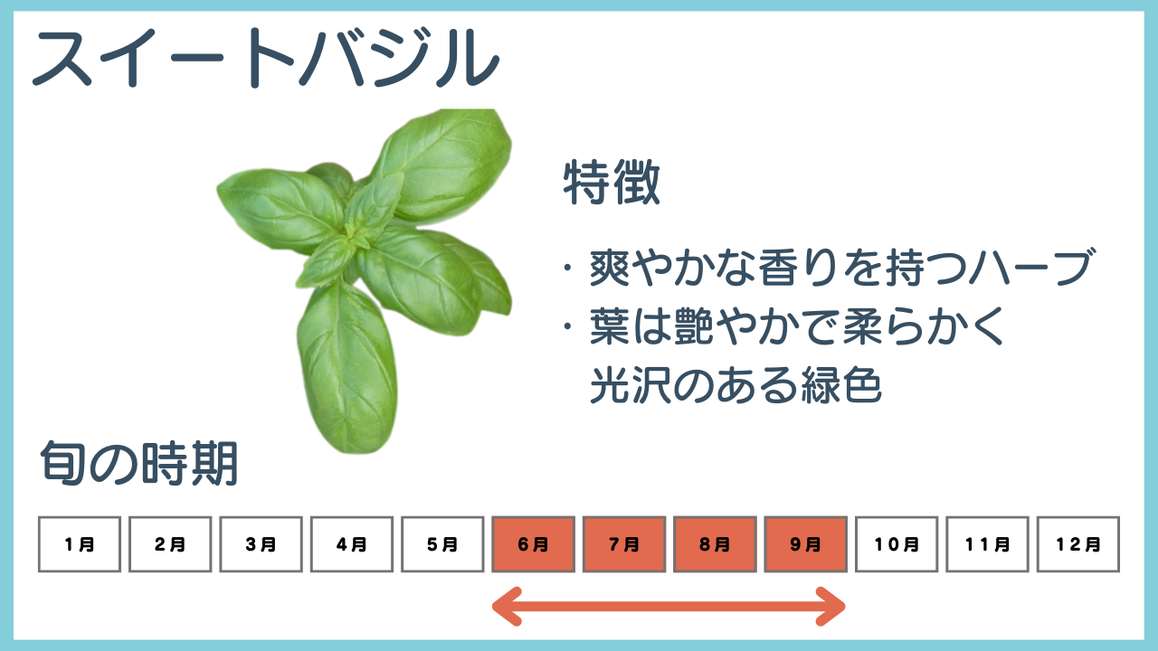 スイートバジルの特徴と旬の時期