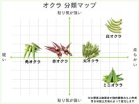 オクラの種類5選を分類マップで分かりやすく解説【2024年】