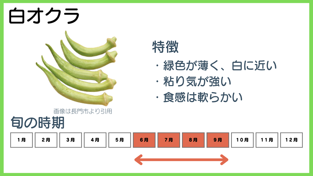 白オクラの特徴と旬の時期