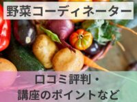 野菜コーディネーター講座の口コミ・講座のポイント・活かせる場面など紹介