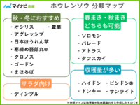 ホウレンソウの品種17選！図解付きでわかりやすく解説【家庭菜園】