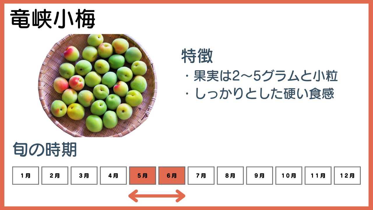 竜峡小梅の特徴と旬の時期