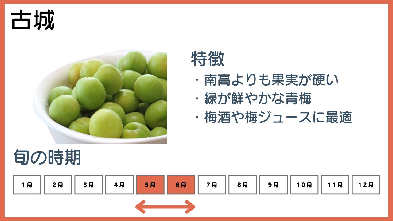 古城の特徴と旬の時期