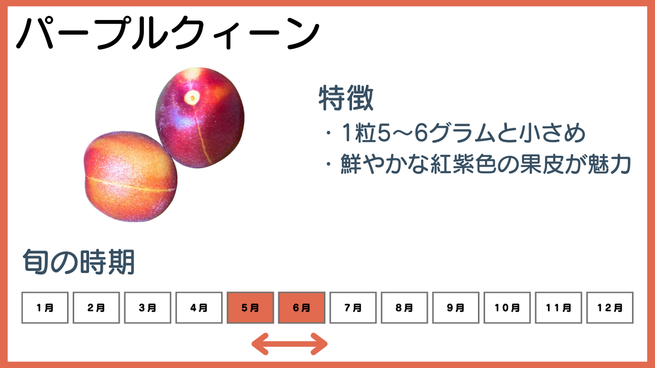 パープルクィーンの特徴と旬の時期