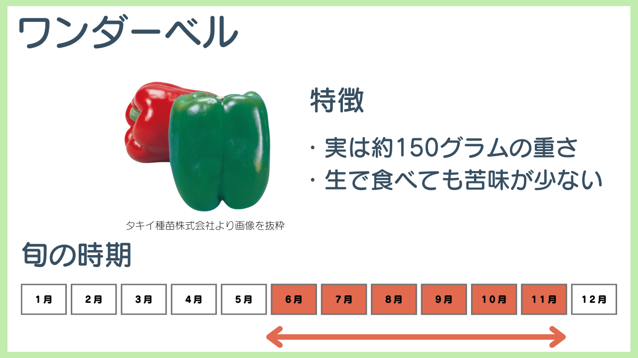 ワンダーベルの特徴と旬の時期