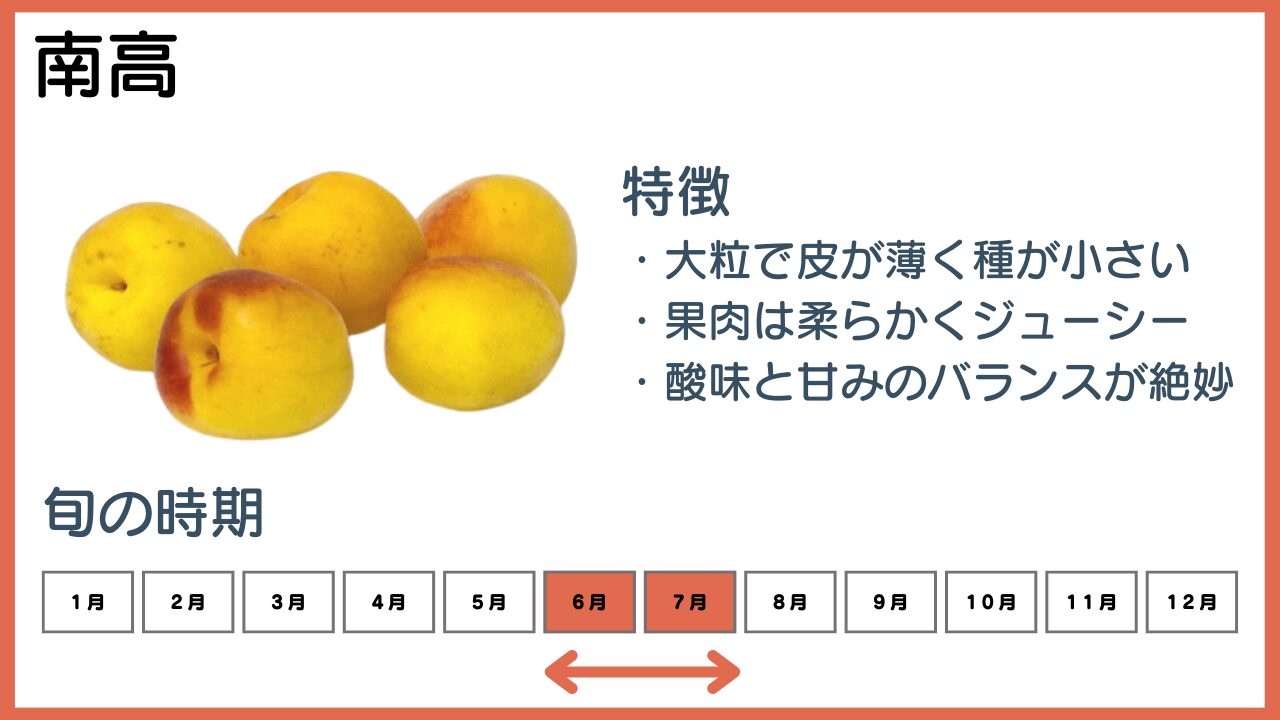 南高の特徴と旬の時期