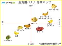 バナナの種類13選を分類マップで分かりやすく解説【2024年】