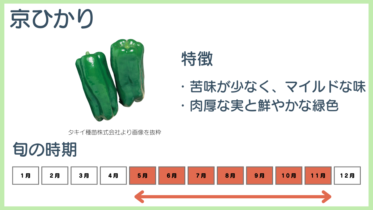 京ひかりの特徴と旬の時期