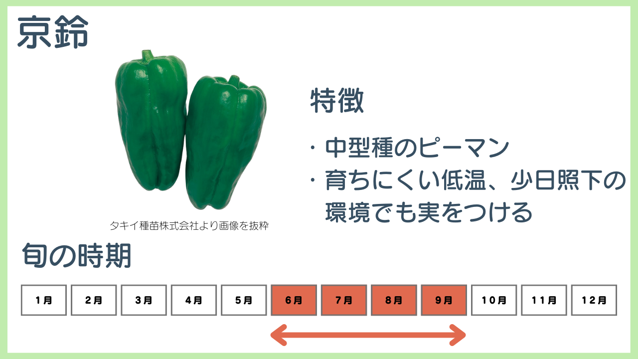 京鈴の特徴と旬の時期