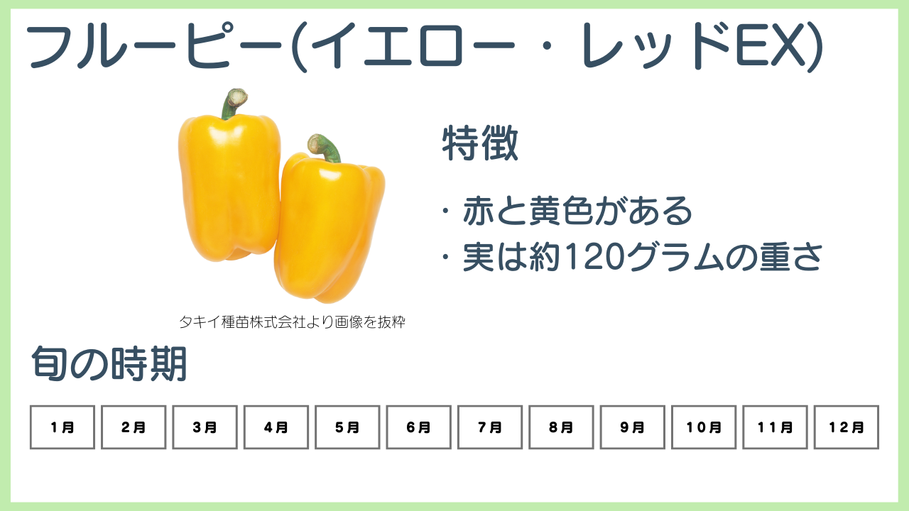 フルーピー(イエロー・レッドEX)の特徴と旬の時期