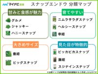 【スナップエンドウ】家庭菜園向けのおすすめ品種11選を紹介【2024年】