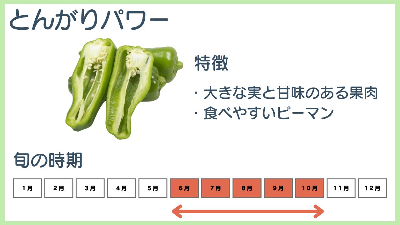 とんがりパワーの特徴と旬の時期