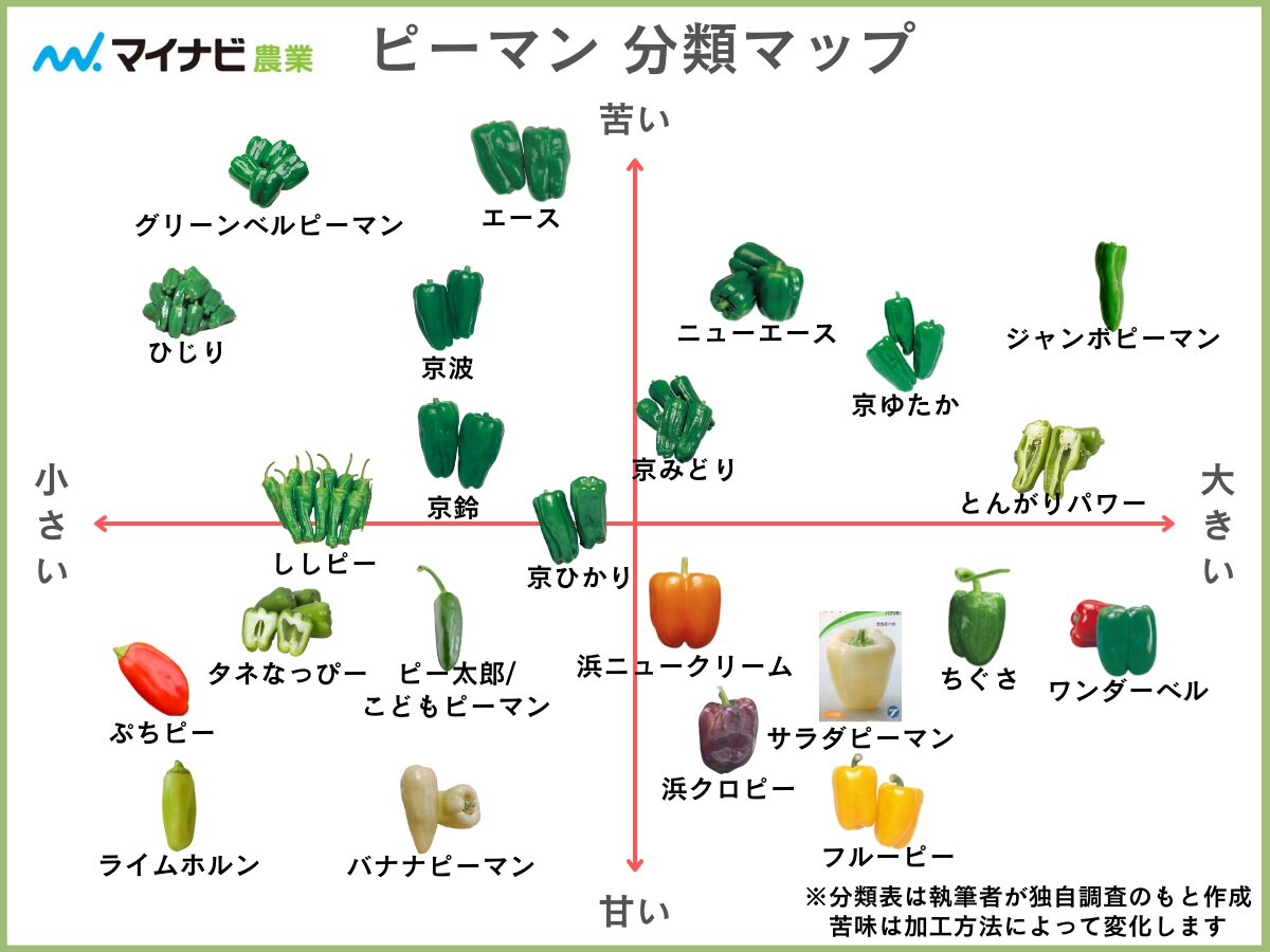 ピーマンの種類23選を分類マップで分かりやすく解説【2024年】