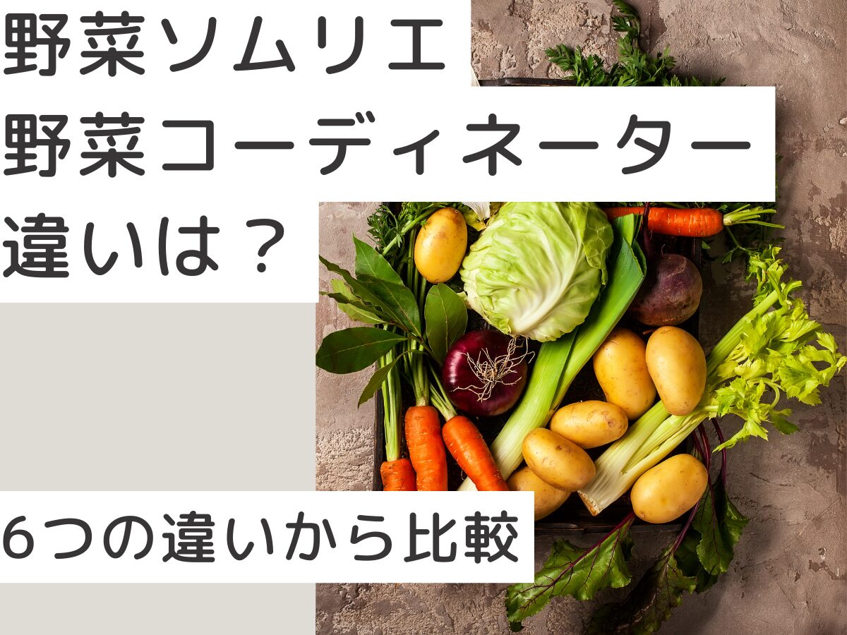 野菜ソムリエと野菜コーディネーターの違いって？6つの項目から比較