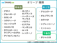 オリーブの品種21選！図解付きで分かりやすく解説【家庭菜園】