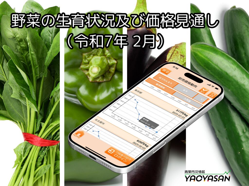 平年並みの価格となる野菜も増えてきそうです【青果市況情報アプリ「YAOYASAN」】