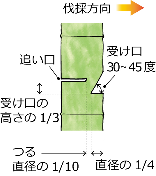 伐採方法