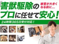 害獣駆除110番の口コミ・評判を徹底調査！「高い」「最悪」って本当？