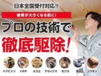 害獣駆除110番とは？　特徴や駆除料金、デメリットや利用方法を徹底解説