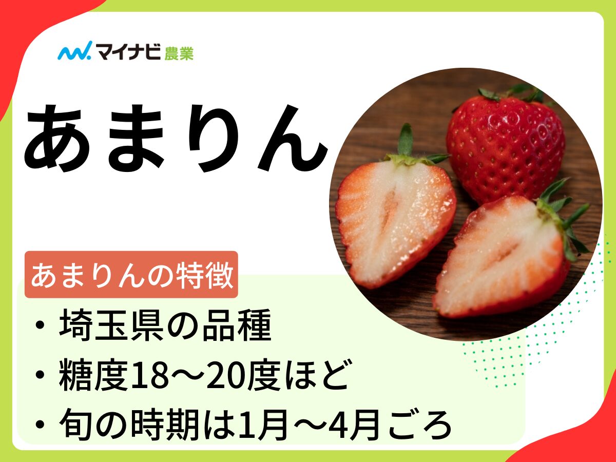 あまりんとはどんなイチゴ？　糖度や旬の時期を解説