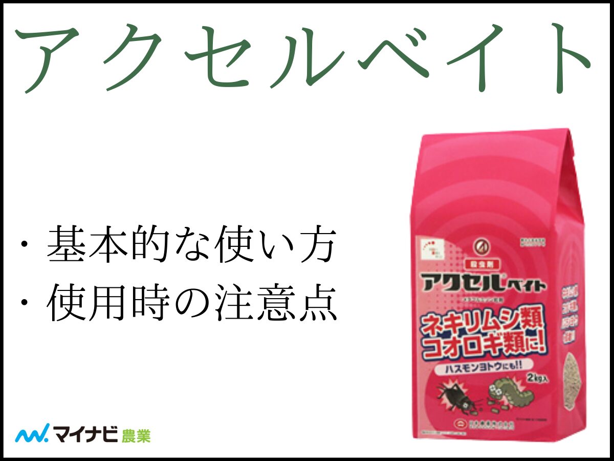 アクセルベイトについて解説！　基本的な使い方や使用時の注意点など