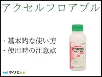 アクセルフロアブルについて解説！　基本的な使い方や使用時の注意点など