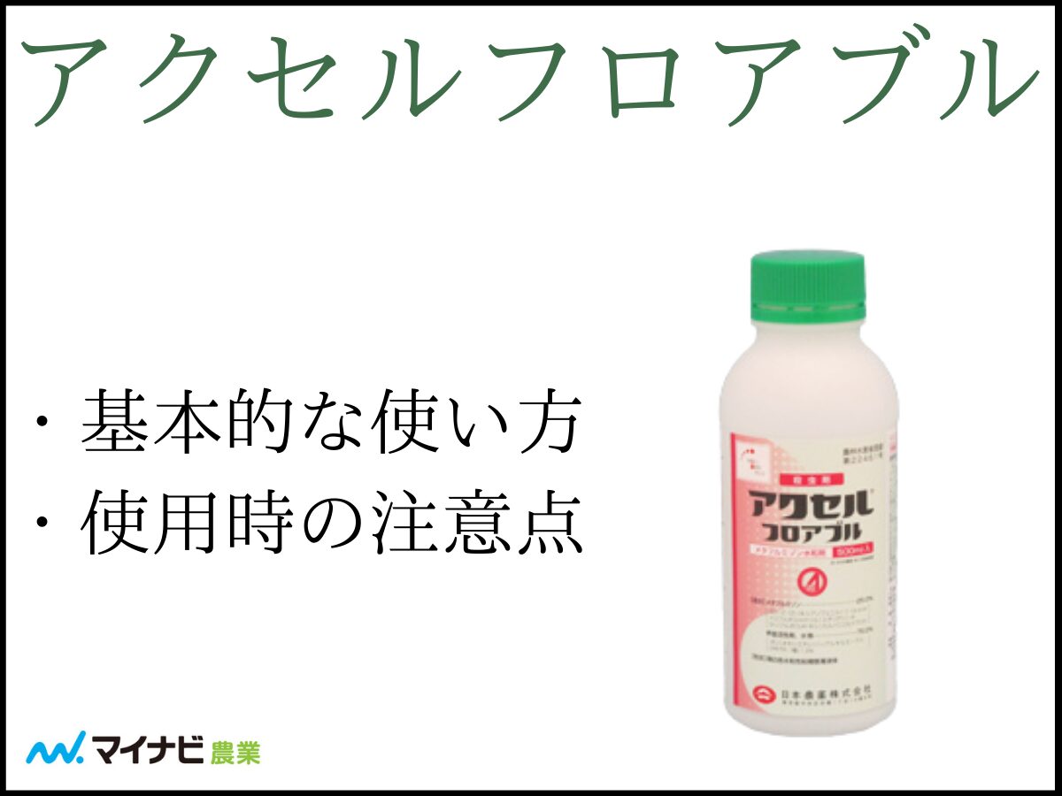 アクセルフロアブルについて解説！　基本的な使い方や使用時の注意点など