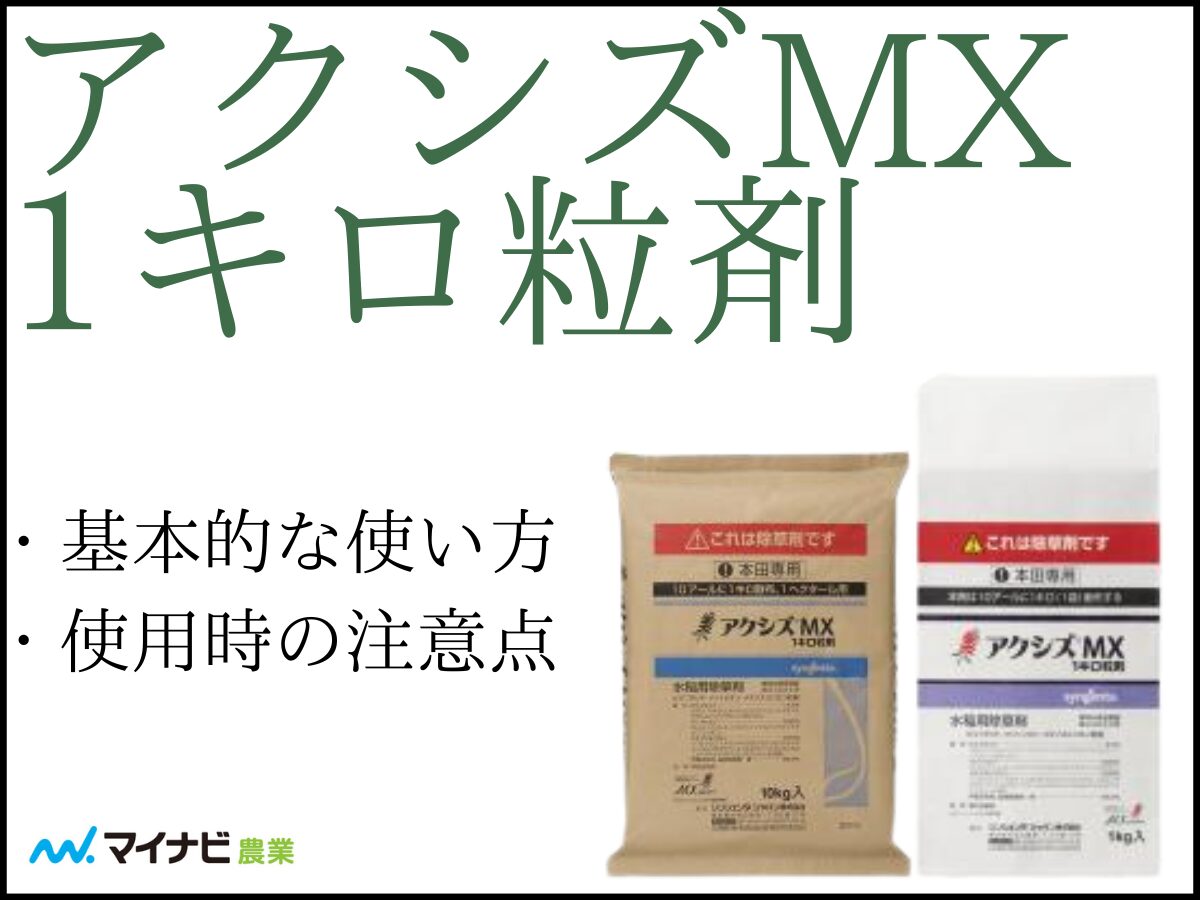 アクシズMX1キロ粒剤について解説！　基本的な使い方や使用時の注意点など