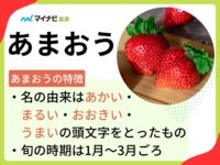 あまおうとはどんなイチゴ？　旬の時期や価格相場も解説