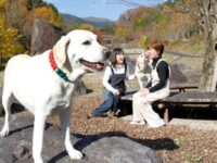農業経験ゼロで始めた6次化。「先の見える農業」への突破口となったのは、犬も飼い主もとりこにするまん丸な甘酒だった