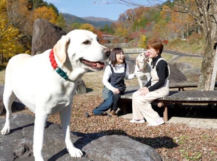 農業経験ゼロで始めた6次化。「先の見える農業」への突破口となったのは、犬も飼い主もとりこにするまん丸な甘酒だった