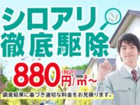 シロアリ駆除のキャッツの口コミ・評判を徹底調査！　「やばい」って本当？