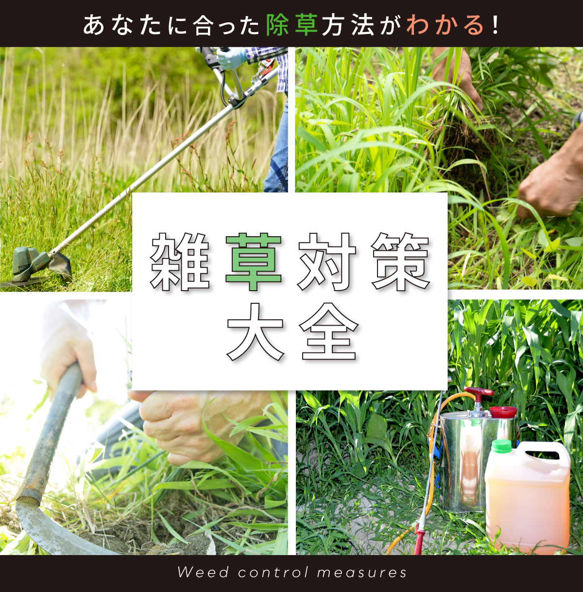 あなたに合った除草方法がわかる! 雑草対策大全