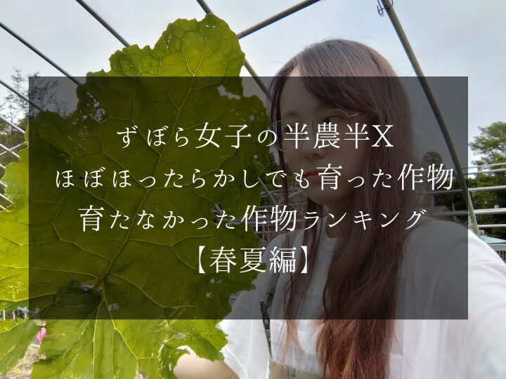 ずぼら女子による無肥料・無農薬・ほぼほったらかしでも育った作物、育たなかった作物ランキング【春夏編】